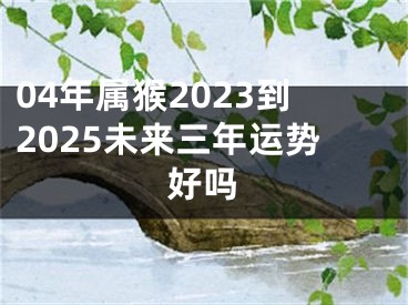 04年属猴2023到2025未来三年运势好吗