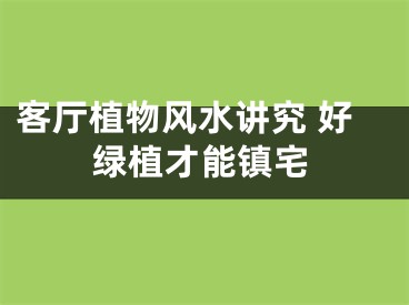 客厅植物风水讲究 好绿植才能镇宅