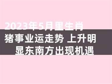 2023年5月里生肖猪事业运走势 上升明显东南方出现机遇