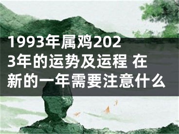 1993年属鸡2023年的运势及运程 在新的一年需要注意什么