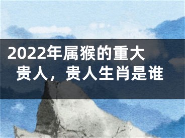 2022年属猴的重大贵人，贵人生肖是谁