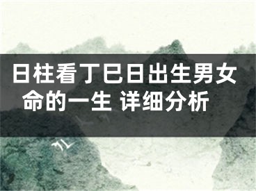 日柱看丁巳日出生男女命的一生 详细分析