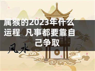 属猴的2023年什么运程  凡事都要靠自己争取