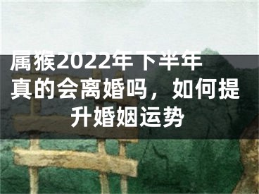 属猴2022年下半年真的会离婚吗，如何提升婚姻运势