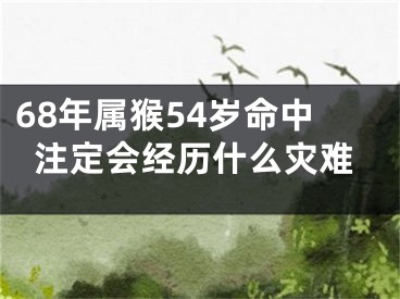 68年属猴54岁命中注定会经历什么灾难