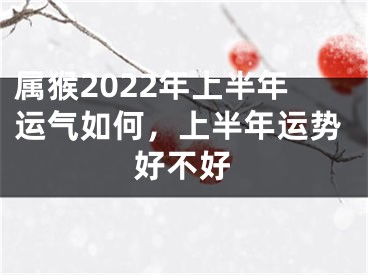 属猴2022年上半年运气如何，上半年运势好不好