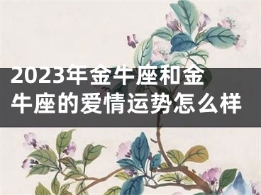 2023年金牛座和金牛座的爱情运势怎么样