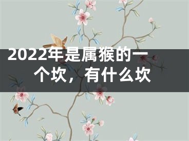 2022年是属猴的一个坎，有什么坎