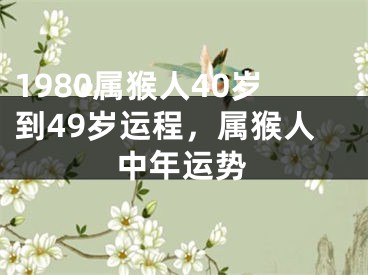 1980属猴人40岁到49岁运程，属猴人中年运势