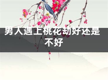 男人遇上桃花劫好还是不好