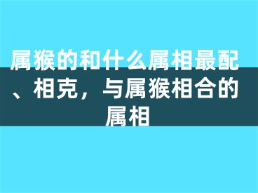 属猴的和什么属相最配、相克，与属猴相合的属相