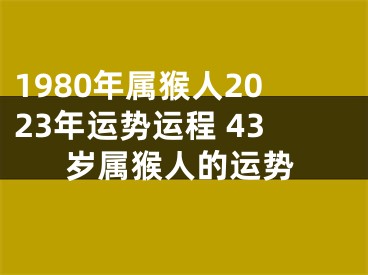 1980年属猴人2023年运势运程 43岁属猴人的运势