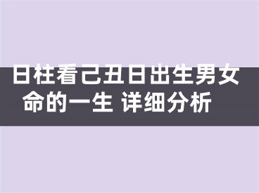 日柱看己丑日出生男女命的一生 详细分析