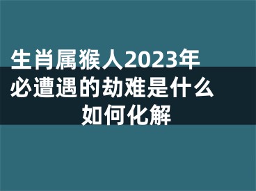 生肖属猴人2023年必遭遇的劫难是什么 如何化解