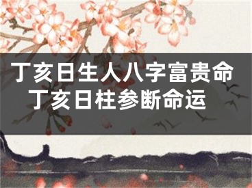 丁亥日生人八字富贵命 丁亥日柱参断命运