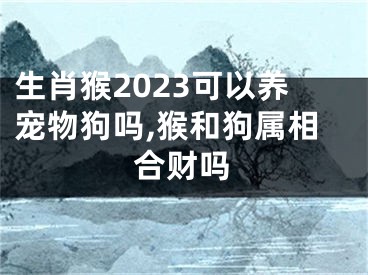 生肖猴2023可以养宠物狗吗,猴和狗属相合财吗