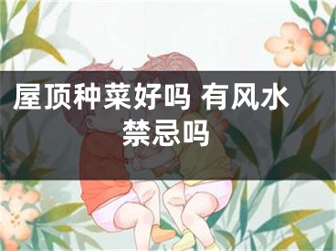 屋顶种菜好吗 有风水禁忌吗