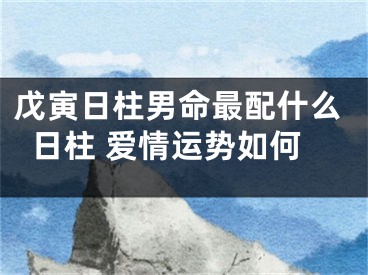 戊寅日柱男命最配什么日柱 爱情运势如何