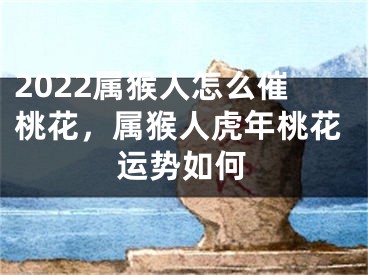 2022属猴人怎么催桃花，属猴人虎年桃花运势如何