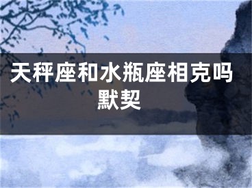 天秤座和水瓶座相克吗 默契