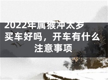 2022年属猴冲太岁买车好吗，开车有什么注意事项