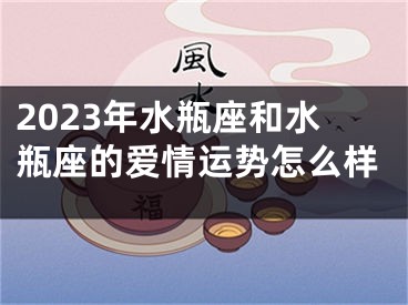 2023年水瓶座和水瓶座的爱情运势怎么样