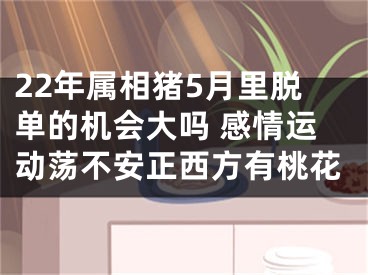 22年属相猪5月里脱单的机会大吗 感情运动荡不安正西方有桃花