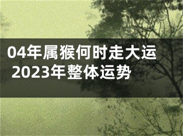 04年属猴何时走大运 2023年整体运势