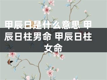 甲辰日是什么意思 甲辰日柱男命 甲辰日柱女命