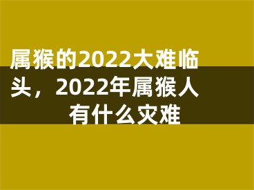 属猴的2022大难临头，2022年属猴人有什么灾难