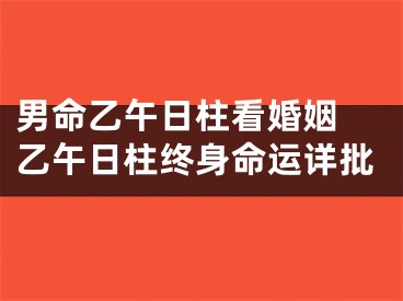 男命乙午日柱看婚姻 乙午日柱终身命运详批