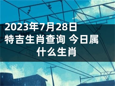 2023年7月28日特吉生肖查询 今日属什么生肖