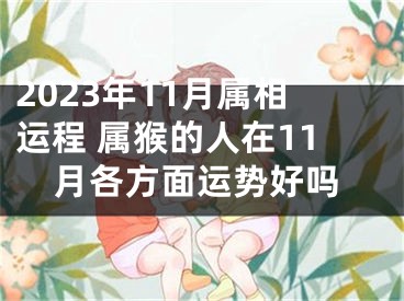 2023年11月属相运程 属猴的人在11月各方面运势好吗