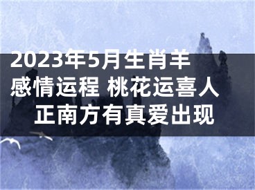 2023年5月生肖羊感情运程 桃花运喜人正南方有真爱出现