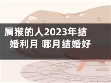 属猴的人2023年结婚利月 哪月结婚好