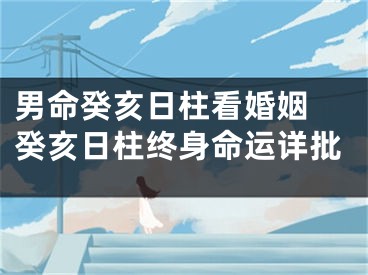 男命癸亥日柱看婚姻 癸亥日柱终身命运详批