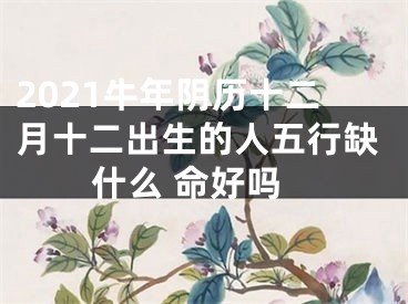 2021牛年阴历十二月十二出生的人五行缺什么 命好吗