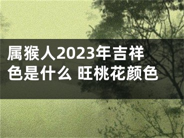 属猴人2023年吉祥色是什么 旺桃花颜色