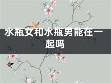 水瓶女和水瓶男能在一起吗