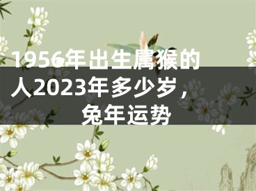 1956年出生属猴的人2023年多少岁，兔年运势