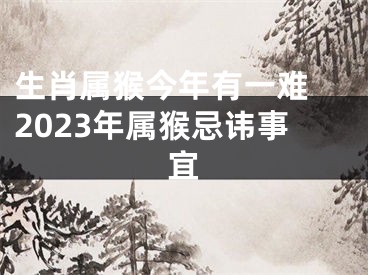 生肖属猴今年有一难 2023年属猴忌讳事宜