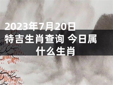 2023年7月20日特吉生肖查询 今日属什么生肖