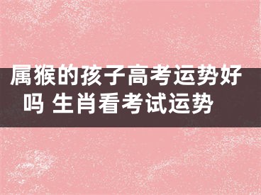 属猴的孩子高考运势好吗 生肖看考试运势