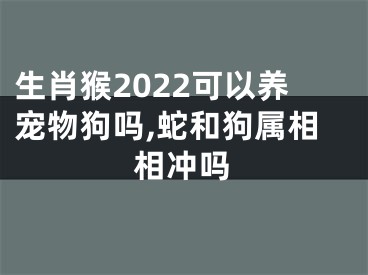 生肖猴2022可以养宠物狗吗,蛇和狗属相相冲吗