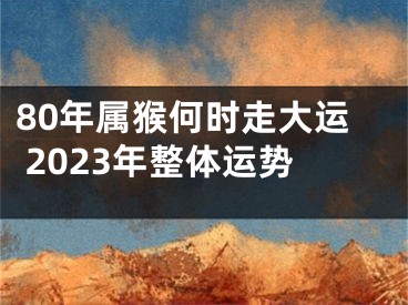 80年属猴何时走大运 2023年整体运势