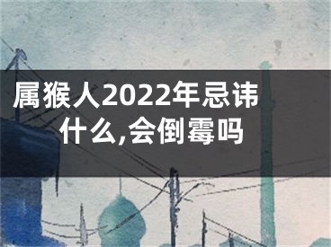 属猴人2022年忌讳什么,会倒霉吗