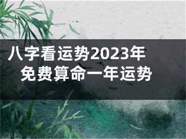 八字看运势2023年 免费算命一年运势