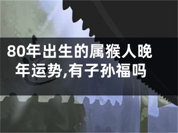 80年出生的属猴人晚年运势,有子孙福吗