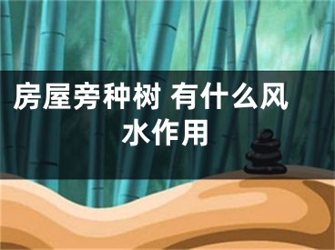 房屋旁种树 有什么风水作用