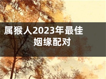 属猴人2023年最佳姻缘配对